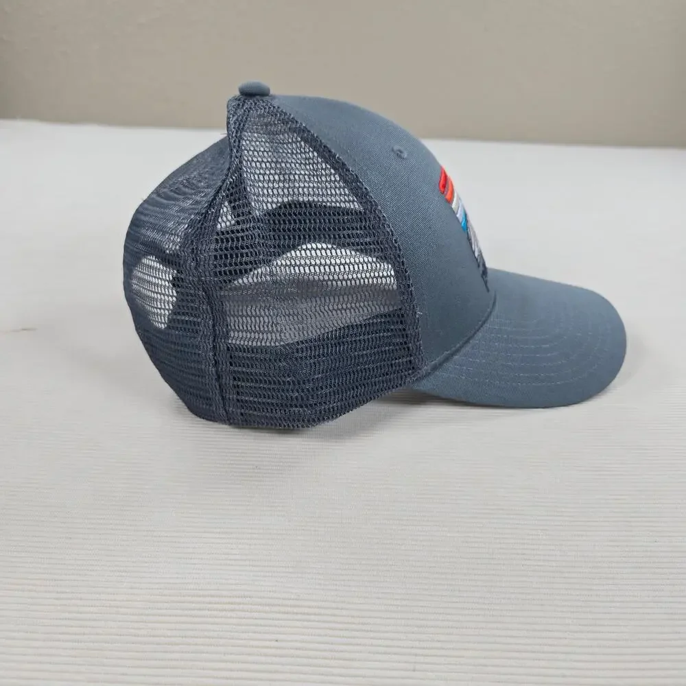 Patagonia P-6 Logo Ridge LoPro Trucker Hate in Plume Grey One Size Fits Most